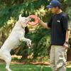 Hundespielzeug Lustiges Interaktives Werfen Fliegende Scheibe Outdoor Trainingsspielzeug Bissfest Welpen Kauspielzeug Haustiere Hunde Fliegende Untertasse Spiel