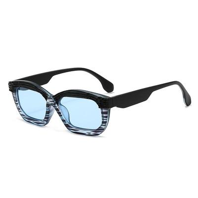 High-End Small Frame Irregular Sunglasses: European & American Hip-Hop Street Style for Women