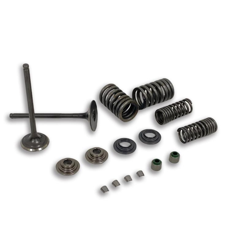 Heavy Duty Engine Valves For CBF150 XR150 KTT150 SDH150 Bikes Reduced Wear Construction With Enhancing Heat Resistance