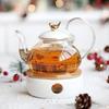 Heat-Resistant Glass Teapot with Warmer