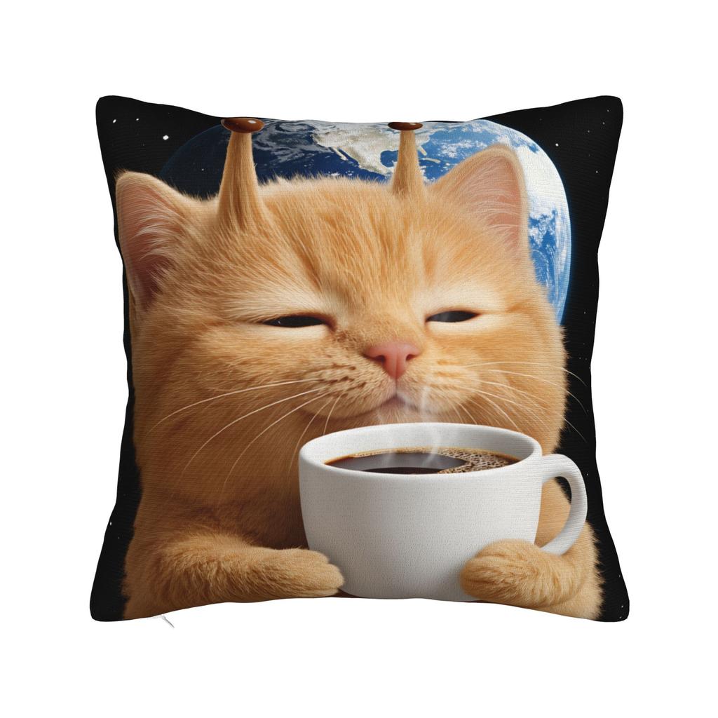 Funny Smiling Meowl Cat (2) Pillow Case Morden Pillow Cover Design Pillowcases For Sofa Bedroom Home Decor
