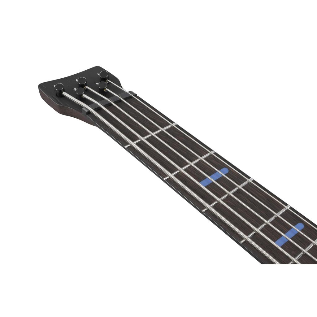 Ibanez / EHB5MSBSP-MAM (Midnight Arctic Ocean Matte) [SPOT Model]
