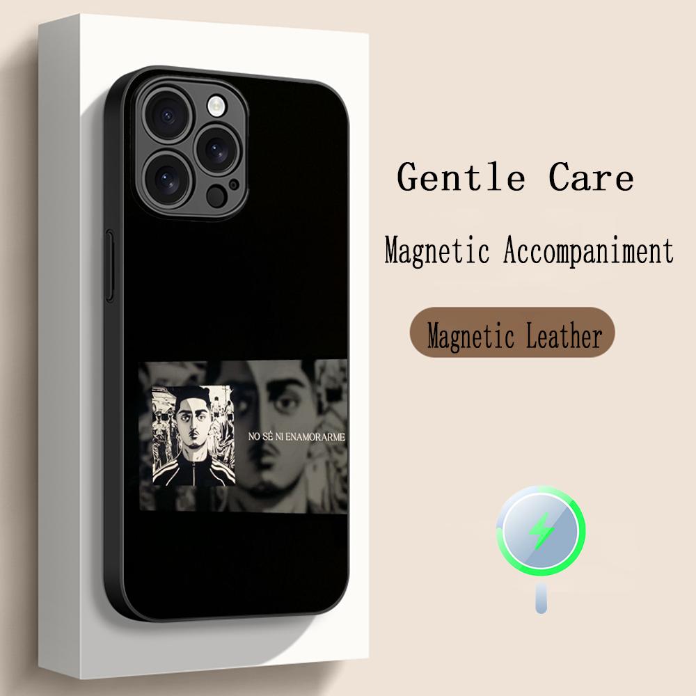 Hot Singer Morad Pattern Design Phone Case For iPhone 16 15 14 13 12 11 Plus Pro Max  High-end Luxury Magsafe Sheepskin