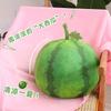 Simulated Watermelon Throw Pillow Blanket Creative Fruit Plush Toy Two-In-One Air Conditioner Blanket Cushion For Children And Women