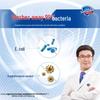 Safeguard Antibacterial Soap 4-Bar Multipack