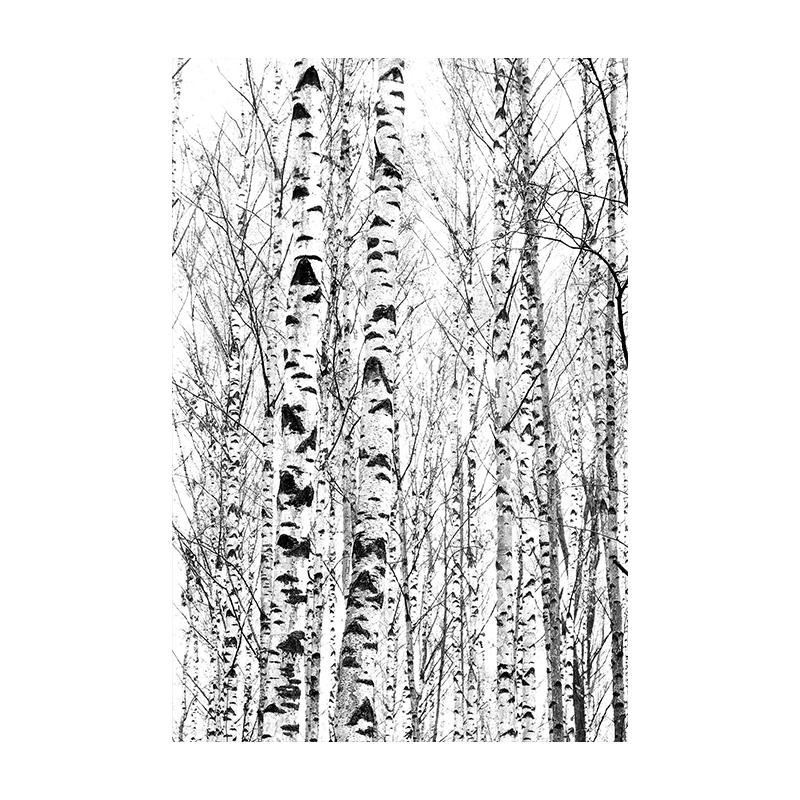 Lesní Jelen Orel Černobílý Krajina Plakát Skandinávská Minimalistická Malba Severské Nástěnné Umění Obrázek Plátno Tisky Pokojová Dekorace