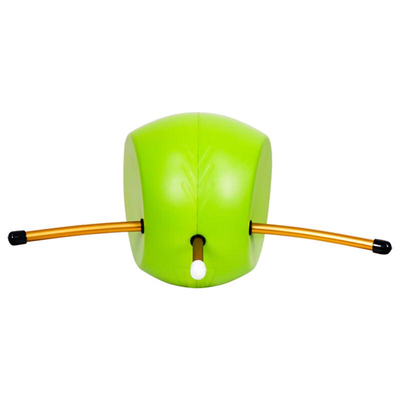 WEZHO Golf Swing Corrector
