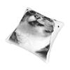 Y2K Funny Cat Meme Pillowcase Soft Fabric Cushion Cover Gift Pillow Case Cover Home Square 45X45Cm