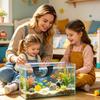 Pești și animale marine – Decorul acvariului