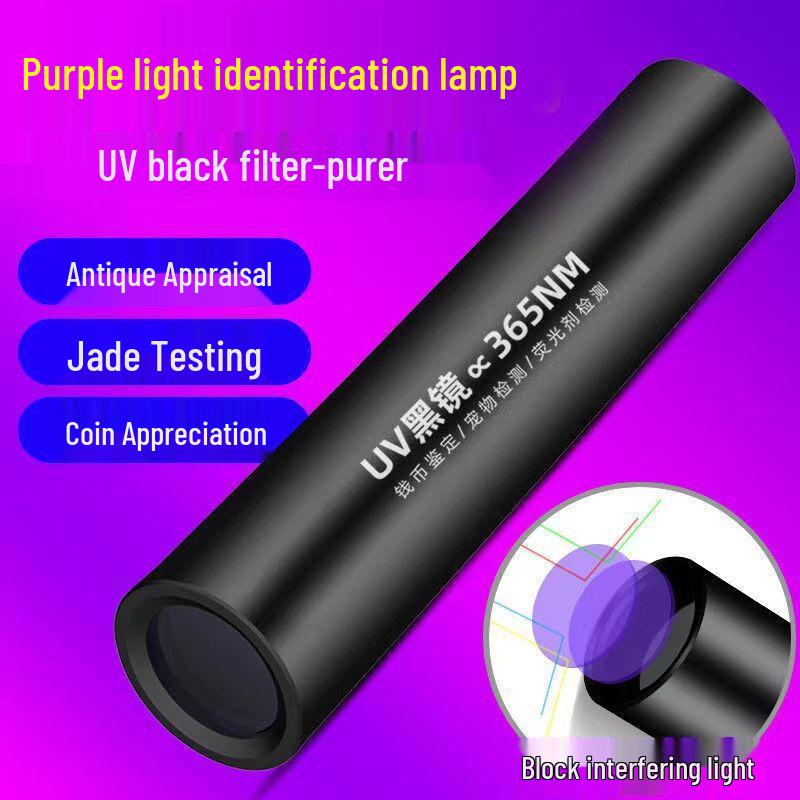 Portable Rechargeable UV Blacklight Flashlight