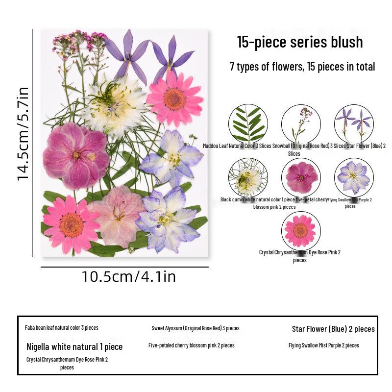 DIY Dried Flower Specimen Sticker Set for Kids: Handmade Pressed Flower Frames & Resin Bookmark Craft Kit