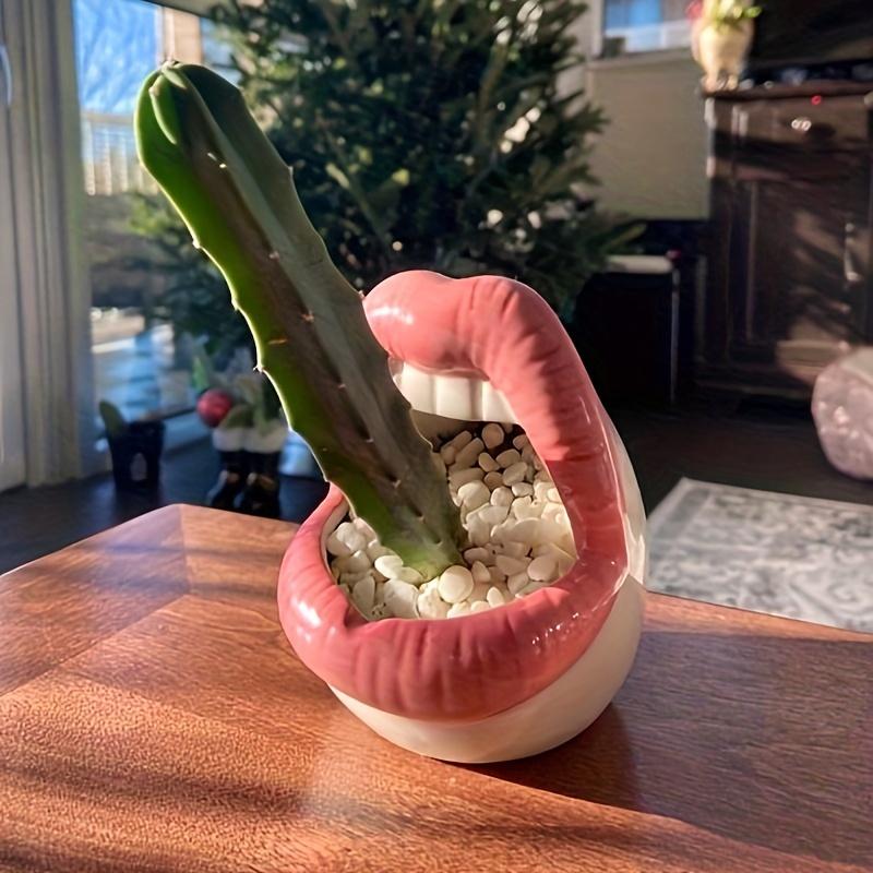 2 rote Lippen Keramik Blumentopf - künstlerischer und kreativer Sukkulenten-/Kaktustopf, mit Aufbewahrungsbox, leicht, geeignet für Innen-/Außendekoration