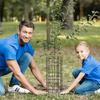 6pcs Plant Guards Protectors with Ziped Ties Metal Stakes Garden Protections Tree