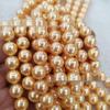 Nanyang Handmade Gold Shell Pearl Beads: DIY Necklace & Bracelet Jewelry Accessories.