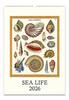 Cavallini 2026 Sea Life Wall Calendar 475803
