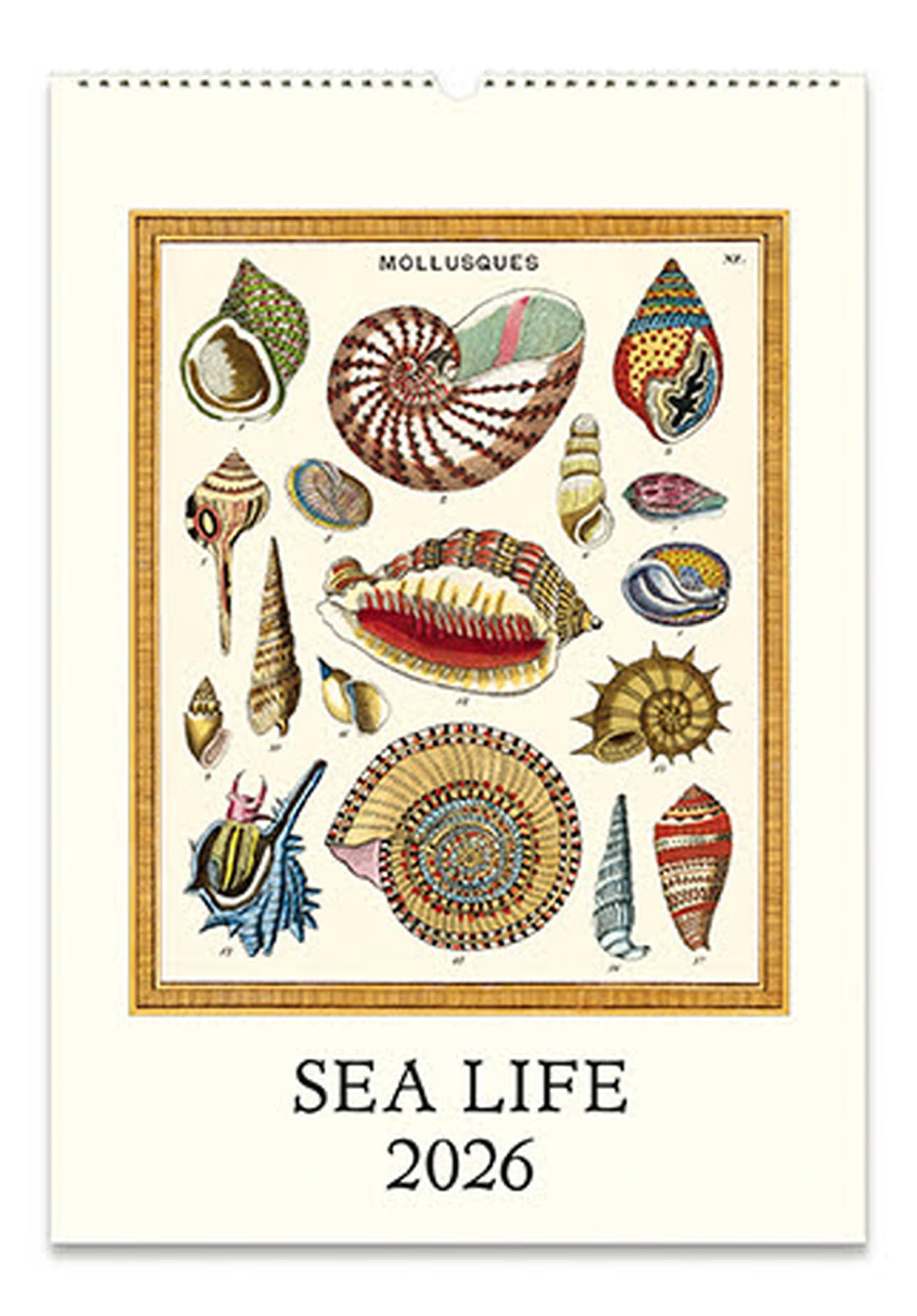 

Cavallini 2026 Sea Life Wall Calendar 475803