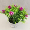 Add Color To Your Life Plastic Rose Mini Potted Plant Bonsai Home Decor