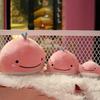 15/25/40cm Whale Plush Toy Lovely Sofa Ornament Soft Sleeping Accompany Plushies Stuffed