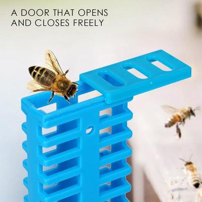 Queen Rearing Supplies Queen Bee Capture Rearing Kit Portable Beekeeper Traps Isolation Equipment Frame For Transporting