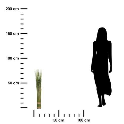 Artificial Grass, 79 Cm High