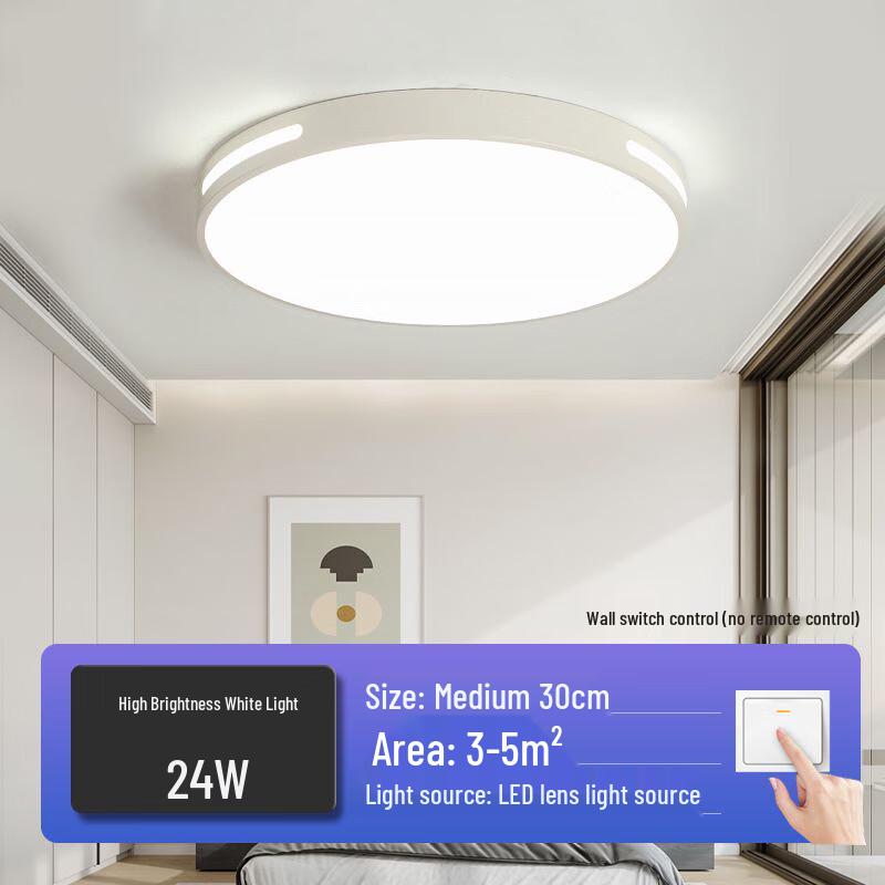 Modern Minimalist LED Ceiling Light