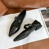 Pointed retro low-heeled flat-heeled Mary Jane shoes for women's spring new models with temperament single shoes for women