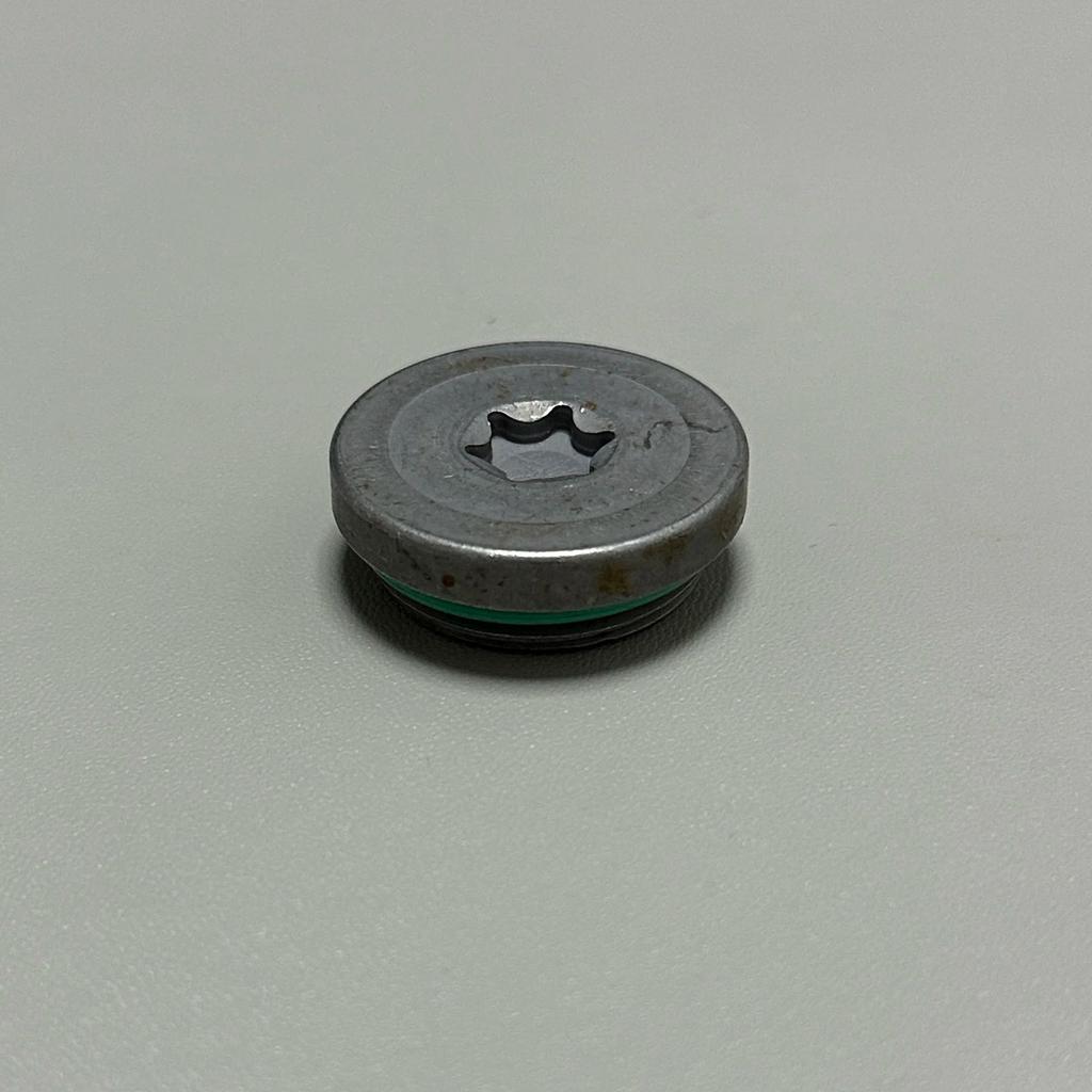 30646228 Camshaft Screws Plug Eccentric Shaft Pulley Screws For Volvo V50 S40 V40 S60 V60 S80L S60L C30 C70 V70 XC60