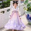Girls' Fleece-Lined Hanfu Winter Dress - Chinese Style Tang Suit