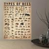 1pc Canvas Poster, Types Of Bees Poster, Types Of Insects Poster, Bee Illustration Poster, Bee Knowledge Poster Wall Art For Liv