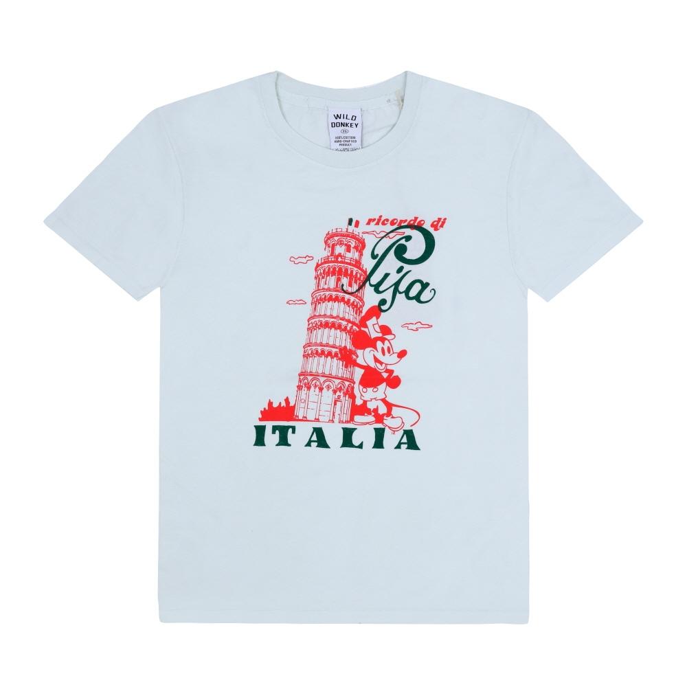 Wild Donkey Unisex T shirT lighT Dyed Green Pisa Graphic T-PISA LIGHT DYED GREEN (XS)