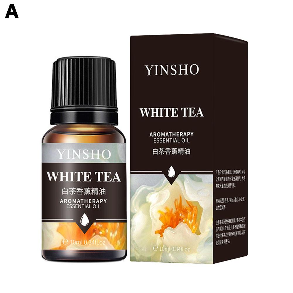 2025 NEU 10ml Ätherische Öle für Aroma Diffuser Luftbefeuchter Zuhause Wasserlöslich Lavendel Auto Lufterfrischer Parfüm Nachfüllung