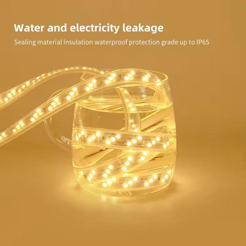 BMW 220v LED Strip Lights With EU Power Plug 2835 Flexible Ribbon Tape Waterproof LED Strip 220v for Living Room Garden Lighting
