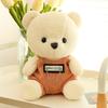 Cute Couple Bear Doll Doll Press Bed Rag Doll Doll Children Boy Birthday Gift Female Pillow