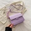 2024 Spring Women's Fashion: Elegant Small Shoulder & Messenger Bag