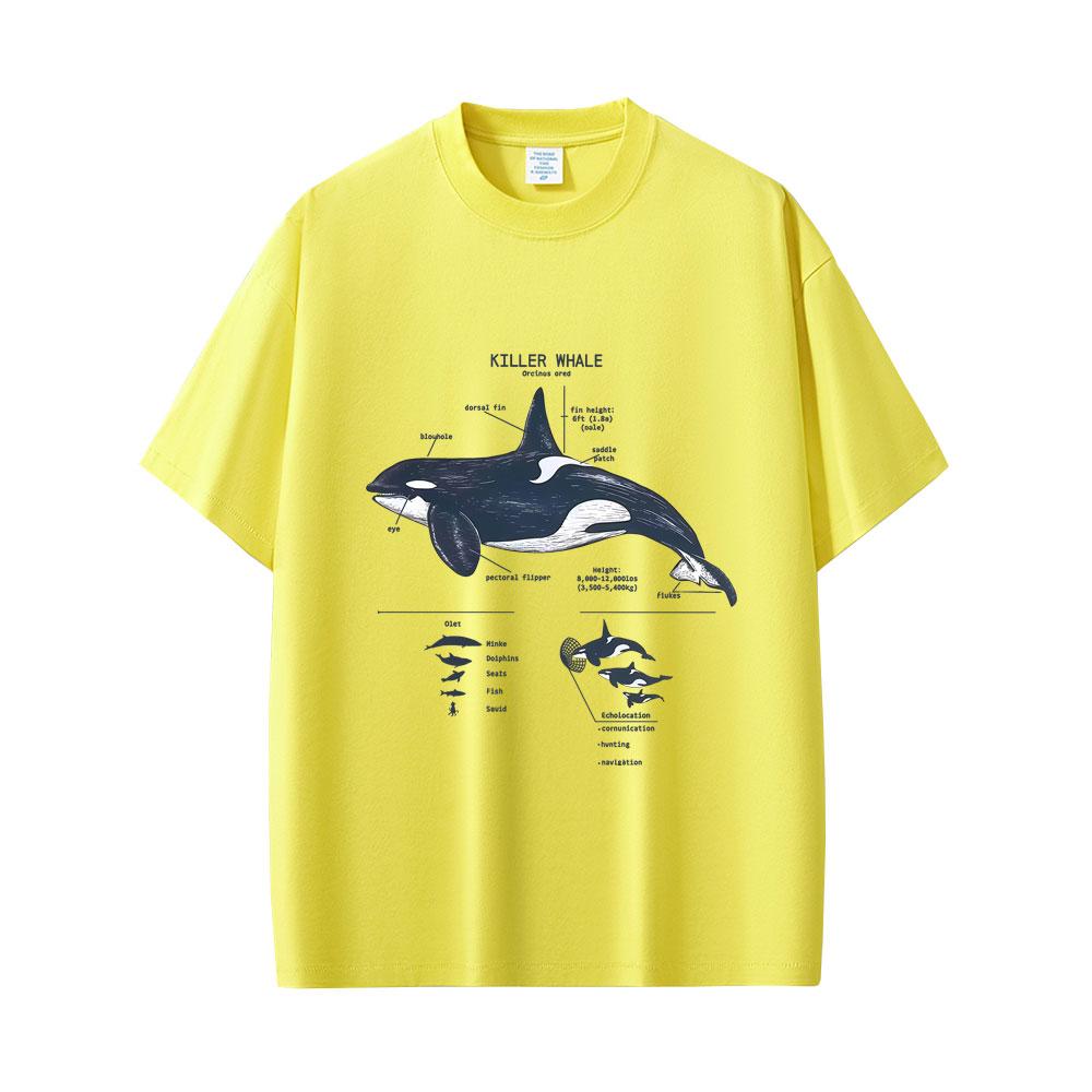Marine Animals Killer Whale Anatomy Graphic Tshirt Mens Womens Casual Funny T Shirts Tops Unisex Fashion Oversized Streetwear