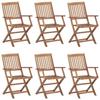 Maison Exclusive - Chaises pliables de jardin lot de 6 avec coussins Bois d'acacia