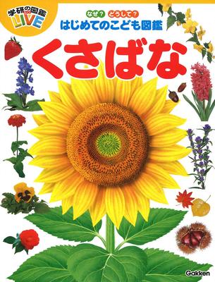 Why? How? The First Children's Picture Book: Grass Flower (Gakken's Picture Book LIVE Why? How? The First Children's Picture Book)