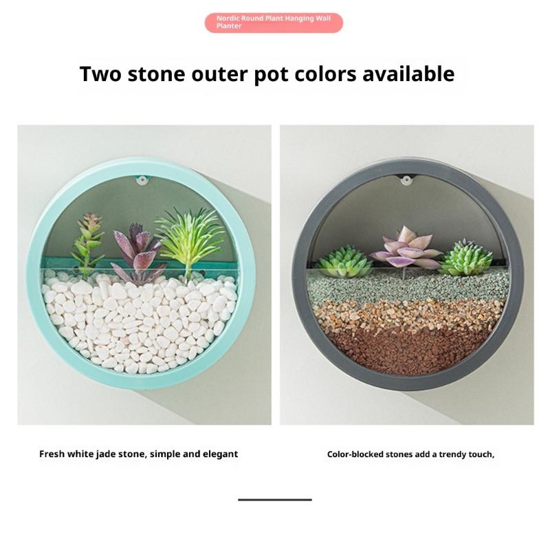 Wall Mounted Plant Hanging Container Easy No Tool Setups Ideal For Green Decoration Vertical Gardening In Compact Area