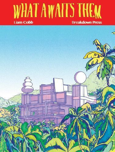 What Awaits Them by Liam Cobb Paperback Book 9781911081227