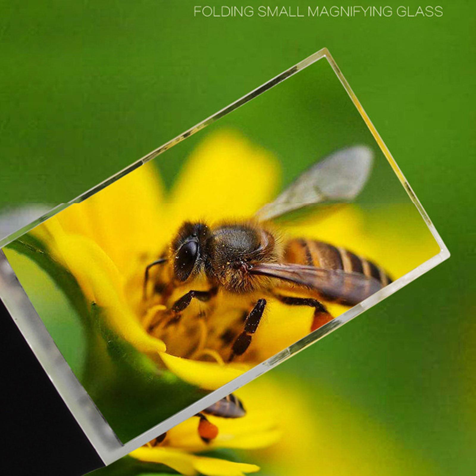 

Світлодіодна лампа 2-кратна велика прямокутна ручна лупа для читання Збільшувальне скло без оправи без викривлень для людей похилого віку