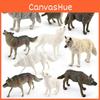 Arktischer Wolf Wildtier PVC Figuren Modelle für Sammler und Natur-Szenen-Dekor