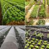 Plant Tunnel Arches Tunnel Arch for Raised Bed Greenhouse Tyres for Raised Bed
