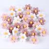 30pcs Creative 3D Five-Petal Flower Pushpins for Photo Wall Decoration