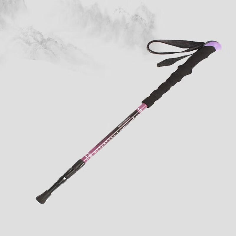 TANERDD Outdoor Hiking Trekking Pole