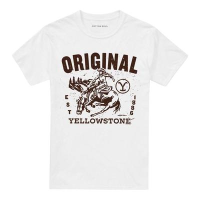 Üst giysisi – T-shirtler