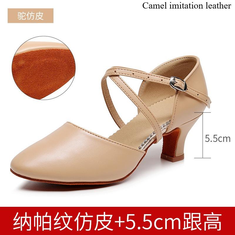 Women Dance Shoes Latin Party Tango Jazz Elegant Dancing Shoes Lace-up Suede Sole Closed Toe Microfiber Leather 7 Colors