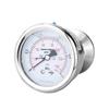 Ruitongsheng YTP60ZBF Hygienic Diaphragm Pressure Gauge