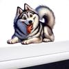 Car Sticker Funny Husky Pet Dog Waterproof Vinyl Decal on Bumper Rear Window Laptop Self-adhesive Decal For Car Accessories TM#11
