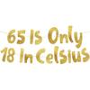 65 Is Only 18 In Celsius Gold Glitter Banner - Happy 65th Birthday Party Banner - 65th Birthday Party Decorations and Supplies - 65th Wedding