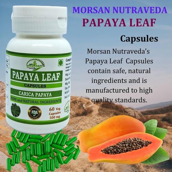 Morsan Nutraveda Papaya Leaf (Carica Papaya) Extract Capsule | 60 x 500 mg Veg Capsules | Enhances Immune Function| Natural Herbal Formula